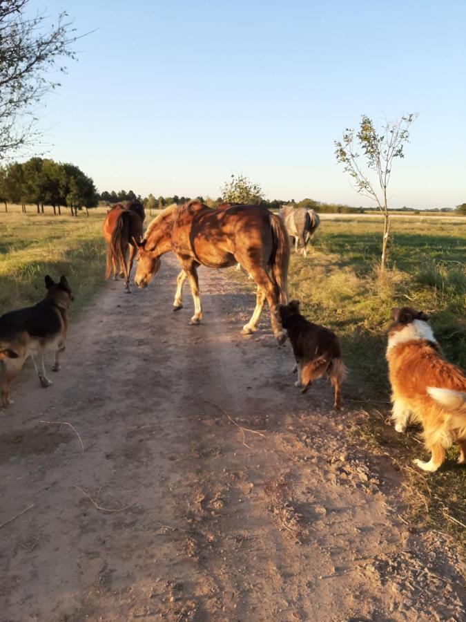 Cabana Rural El Encuentro San Antonio de Areco Kültér fotó